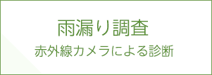 雨漏り診断